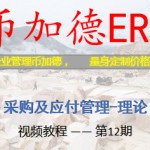 ERP视频教程插图17